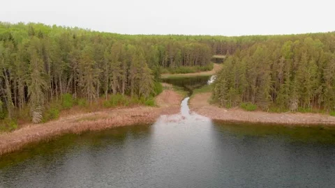 Drone moving forward over several lakes in a forest setting  Stock Footage 142535322