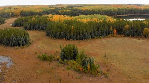 Drone moving forward over small lakes in a forest setting with autumn colors Stock Footage 117866386