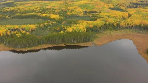Drone moving forward slowly over a brightly colored forest and lake  Stock Footage 135827190