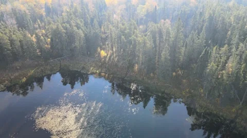 Drone moving forwards over a small pond and a fall-colored forest. Stock Footage 220815029