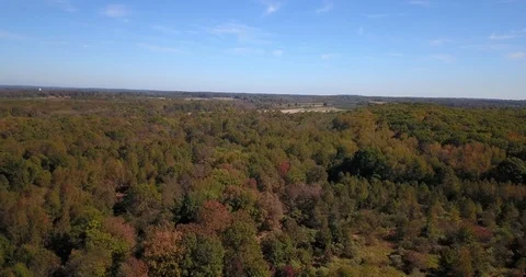Drone moving left over fall trees Stock-Footage 118463416