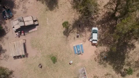 Drone moving over the air above the dogs and small buildings Stock Footage 143230103