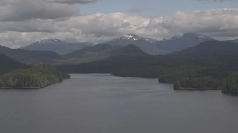 Drone moving Over Lake with Pine Trees and Snowy Mountains on Horizon Stock Footage 255319381