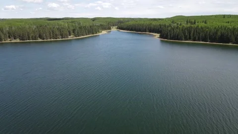 Drone moving quickly forward over a northern lake that is surrounded by forest Stock Footage 263583503