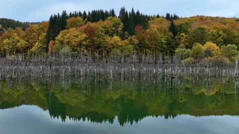 Drone Moving Right Over Calm Waters of Lake Cuejdel. Slow Motion Stock Footage 289301902