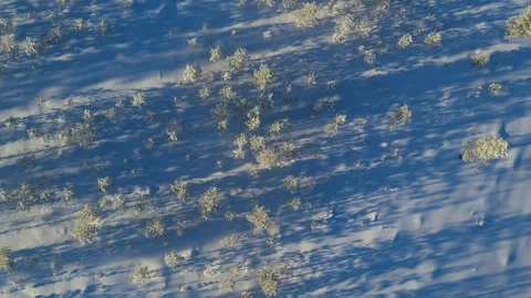 Drone moving sideways over snow filled sun soaked forest in Finland Stock Footage 275261412