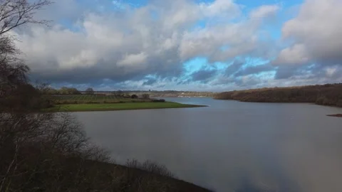 Drone moving sideways past tree revealing lake Stock Footage 328125693
