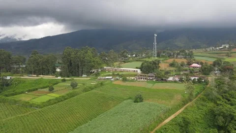 Drone moving sideways - Philippines , trees, green land, rainy clouds Stock Footage 301619863