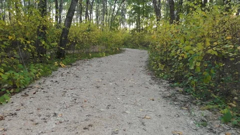 Drone moving slowly about one foot above a gravel walking path Stock Footage 117320348