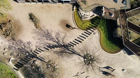 Drone moving slowly backwards over giraffes in Copenhagen zoo Stock Footage 272294677