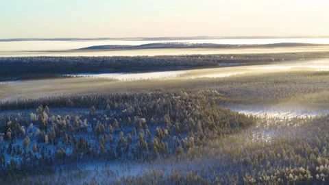 Drone moving slowly backwards over snow filled foggy forest in Finland Video stock 275261419