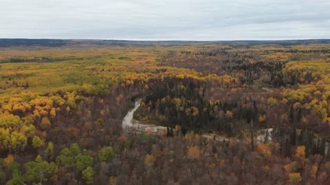 Drone moving slowly forward over a bright multi-colored large autumn forest Stock Footage 142318693