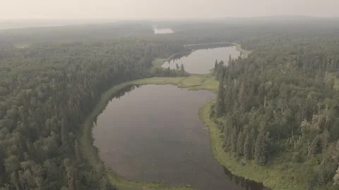 Drone moving slowly forward over round lakes set in a green forest.  Stock Footage 171829195