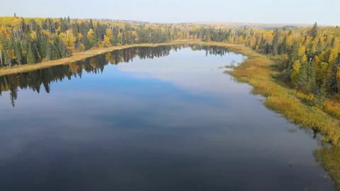 Drone moving slowly forward over a large pond surrounded by autumn colored trees Stock Footage 219225074