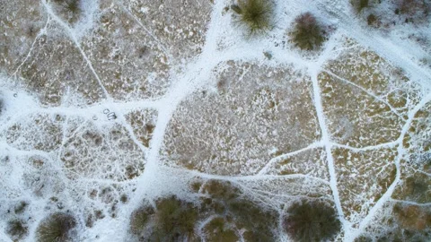 Drone moving slowly forwards over marshland in winter time Stock Footage 278364256