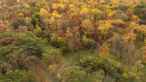 Drone moving slowly forwards to show a vast farm, forest and river and landscape Stock Footage 118152700