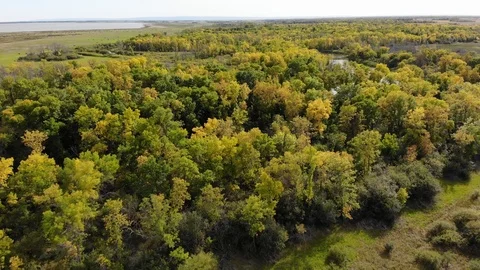 Drone moving slowly over a forest, river and farm landscape. All in early autumn Stock Footage 117859526