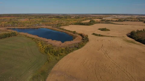 Drone moving slowly over a vast farm landscape with a large wheat field. Stock Footage 116839707