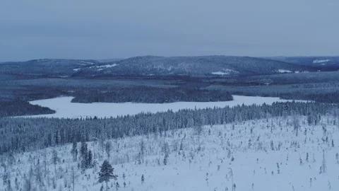 Drone moving slowly over winter forest in Finland on a cloudy day Video stock 275261429