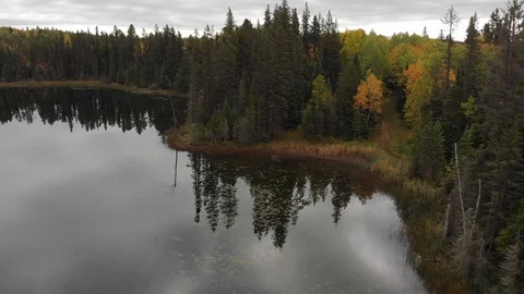 Drone moving slowly sideways over a calm pond with reflections. Vídeos de archivo 116839655
