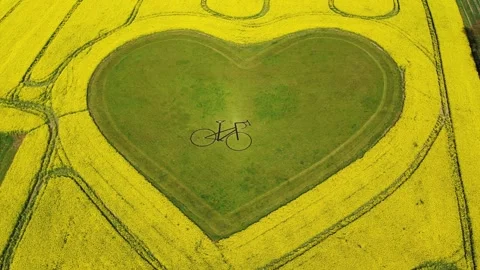 Drone moving slowly sideways over a heart shaped grass field surrounded by .. Stock Footage 274436407