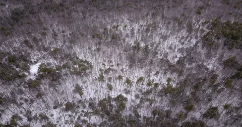 Drone moving slowly straight down over frozen forest Stock Footage 124509620