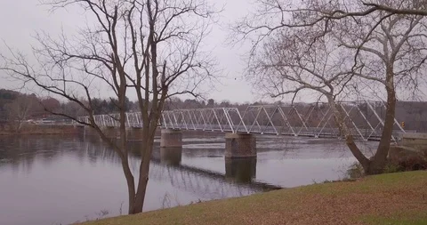 Drone moving up through winter trees to see bridge 動画素材 98841000