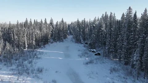 Drone moving very slowly forward towards a snow covered forest.  Stock Footage 231229260