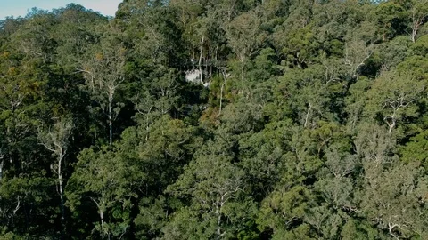 Drone:  Mt Glorious Approaching Shot Stock Footage 110846994