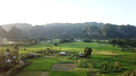 Drone Nature (2) Stock Footage 325562919