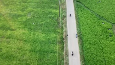 Drone Nature (3) Stock Footage 325562848