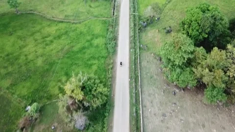 Drone Nature (5) Stock Footage 325562834