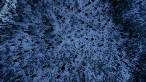 Drone - Nature Stock Footage 87558116