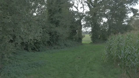 Drone Normandy-0018 P1000118 Stock Footage 89820465
