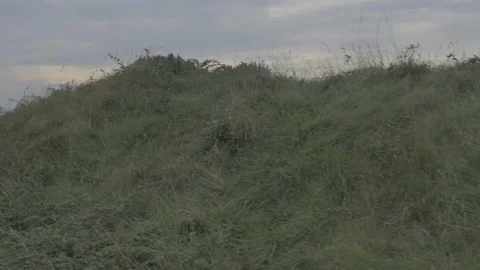 Drone Normandy-0022 P1000119 Stock Footage 89820550