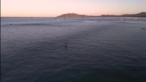 Drone - Ocean view as birds fly over a surfer girl Video stock 267095972