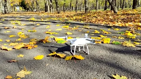 Drone operator Phantom 3 disperses fallen leaves in an autumn park Video stock 163813342