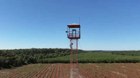 Drone orbit around forest fire watchtower above Atlantic Forest pine plantation Stock Footage 340355622