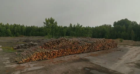 Drone Orbit Around Large Piles of Stacked Logs Stored at Forestry Site Stock Footage 346421850