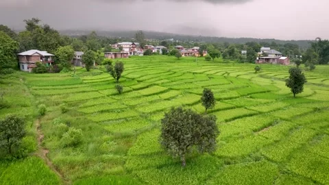 Drone orbit around lush stepped paddy fields, rural village huts, and mount.. Video stock 345277458