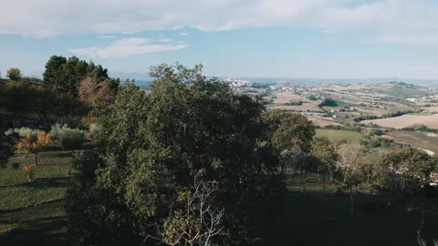 Drone Orbit Around a Oak Tree, Italy, 4K 스톡 동영상 220413852