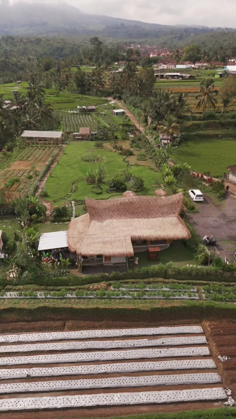 Drone Orbit Around Restaurant and Garden Near Jatiluwih Rice Terraces, Bali Indo Stockbeeldmateriaal 323642825