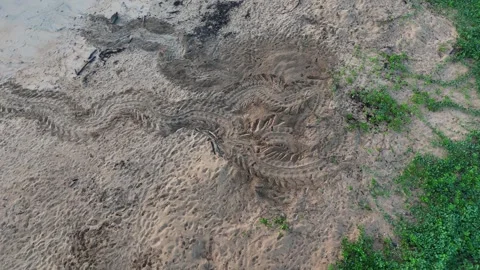 Drone Orbit Around Sea Turtle Tracks. Stock Footage 339079894