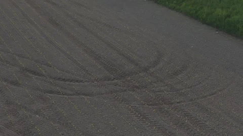 Drone orbit ascent with parallax above newly emerged crop rows in the Po Valley Stock Footage 340604318