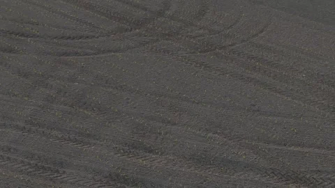 Drone orbit ascent with parallax above newly emerged row crops in the Po Valley Stock Footage 340604333