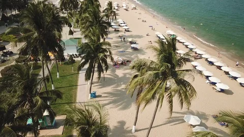 Drone orbit beach white sand palms lounges coastal exotic resort travel Vietnam Stock Footage 107121659