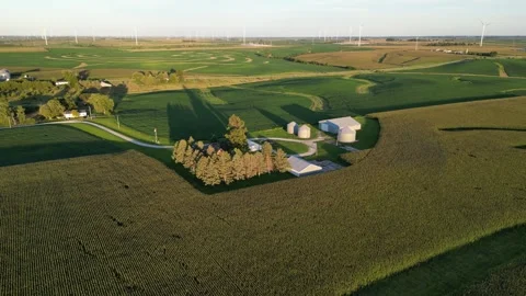 Drone orbit of corn &amp; soybean farm in Orient, Iowa. Long shadows in Golden Hour. Stock Footage 248480764