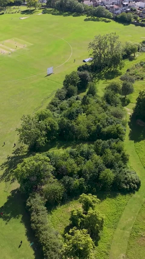 Drone orbit of crescent tree line in Chad park, Chadwell Heath, London green Stock Footage 337799399