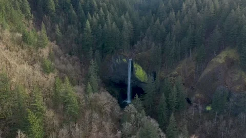 Drone orbit of Latourell Falls situated in the middle of the forest in Oregon. Stock-Footage 248854328