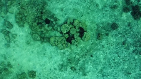 Drone Orbit Over Coral Reef at Freedom Beach Koh Tao Thailand Vídeo Stock 331867235